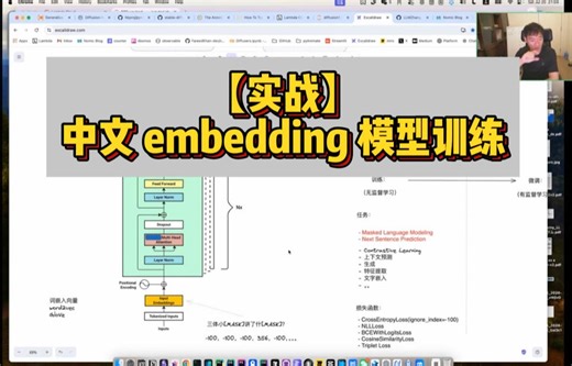 【超长】如何理解及训练中文Embedding嵌入模型（aka. BERT）