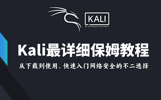 2025最受小白欢迎的kali渗透全套教程！！手把手带你玩转kali Linux黑客操作系统，轻松入门网络安全