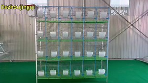 Rabbit Farming Meat Rabbit House Breeding 24 Doors Cells Commercial Rabbit Cages