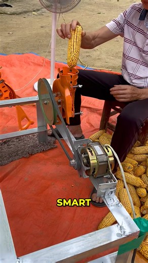 Smart Way to Harvest Corn. #CornShellerMachine #SmartFarming #AgricultureTechnology | Bazmechanic