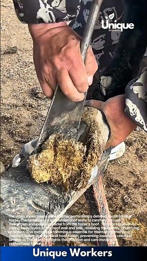 Expert Hoof Trimming: Farrier Shapes and Cleans a Horse's Hoof