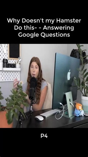 TikTok · Victoria Raechel Hamster