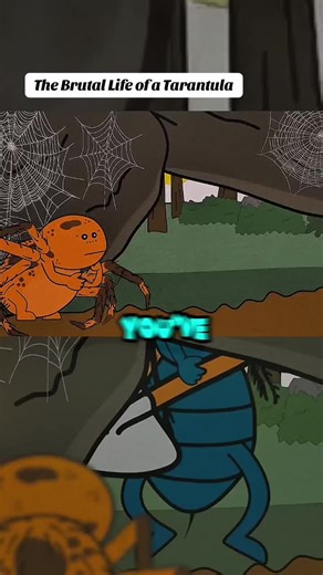 The Brutal Life of a Tarantula #animated #funny #memecut #tarantula #trendingvideo