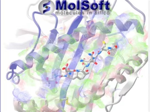 Molsoft ICM-Pro v3.9-4a Windows功能强大的蛋白质结构分析和桌面建模软件 安装咨询服务提供与蛋白质数据库（PDB）的直接链接
