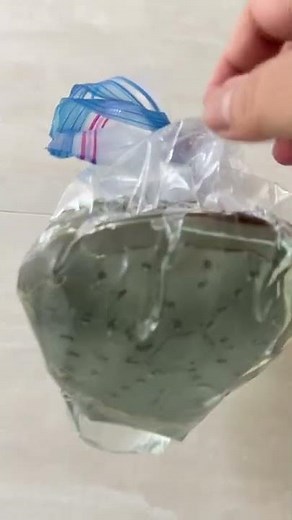 Removing calcium from shower head