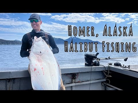 Alaskan Halibut Fishing!! Homer, Alaska 2024 (Catch Clean and Cook!)