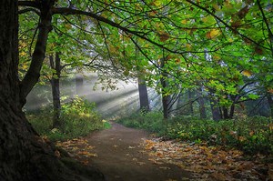 This U.S. Park Is an Extinct Volcano—and It's Also the First Urban Quiet Park in the Nation