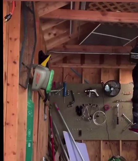 Idk either op TikTok