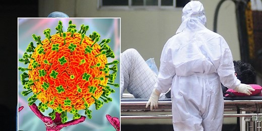 Nipah virus: Scientists offer major update on killer infection with 85% fatality rates and 'pandemic potential'