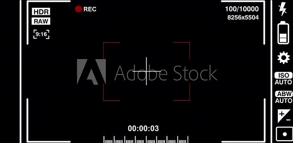 Camera Viewfinder Interface: Recording, Settings, and Technical Information