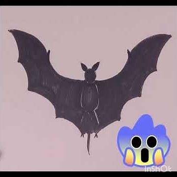 How to draw a bat easy. Bat drawing. bat drawing for kid. easy bat drawing