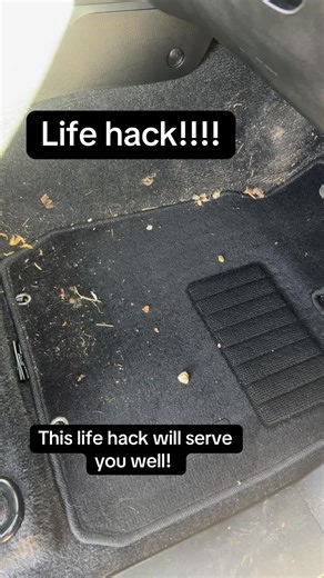 Effective Life Hack for Vacuuming Carpets