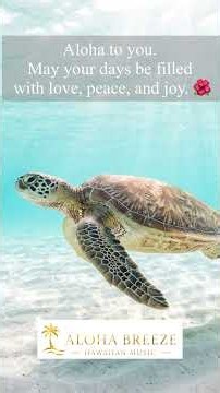 Hawaiian Music 🌺 A Message of Love, Peace & Joy Aloha to You | ALOHA BREEZE