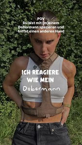 Welche Hunderasse könnte das noch sein ? 😂😭😂 #hund #dobermann #hundebegegnung #hunde | Jóia