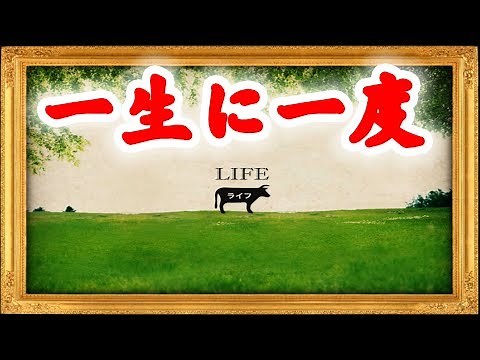 一生に一度しか遊べないゲーム【LIFE】
