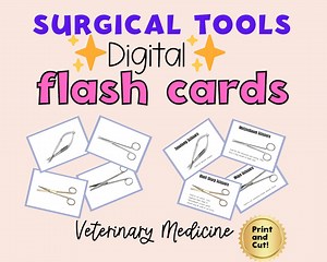 Digital Surgical Tools Veterinary Surgery Flash Cards Revision Vet Study Aid Vet Tech Surgery Flashcards Digital Vet - Etsy