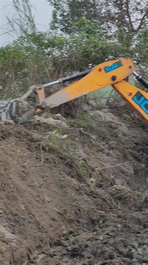 ꧁𝓘_â𝓶_𝓼𝓪𝓾𝓻𝓪𝓫𝓱꧂ on Instagram: "#reelsinstagram #desi .chora#srk .#srkfanclub #biraha"