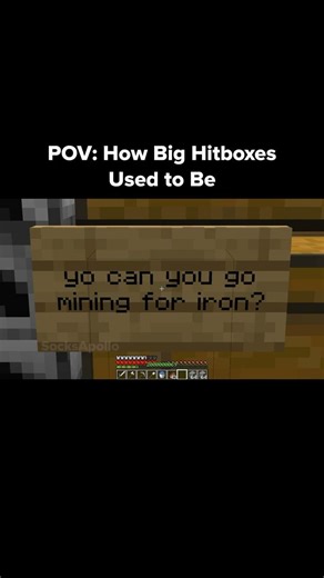 Minecraft Hitbox Moment