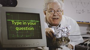 7.5K views | Have you heard of the Amazing Cat named Stripey who can answer any question?...Soccer fanatics will love this cat! Unbelievable! www.prosoccer.co.za | Pro Soccer | Facebook