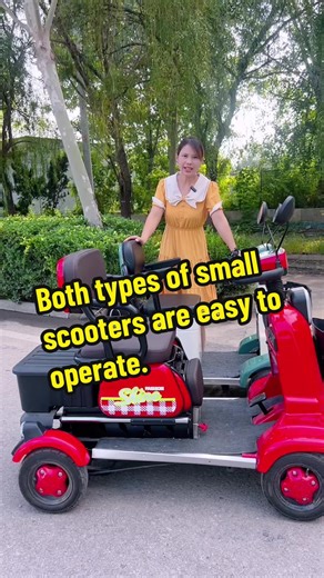 Both types of small scooters are easy to operate.
