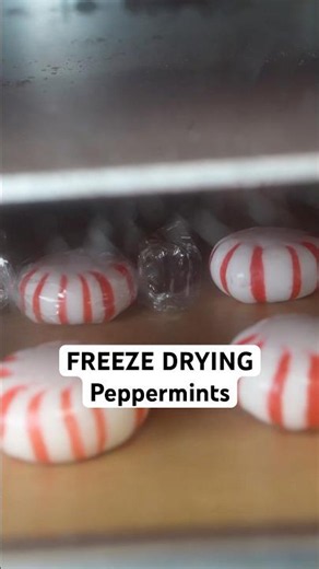 Freeze Drying Peppermints