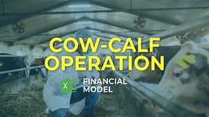 Cow-Calf Operation Financial Model Excel Template | eFinancialModels