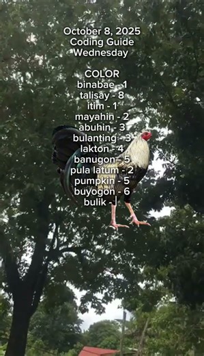 October 8,2025 color coding guide