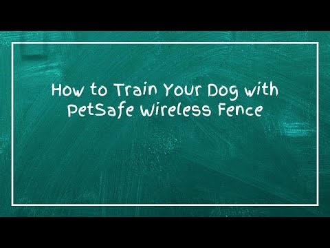 How to Train Your Dog with PetSafe Wireless Fence