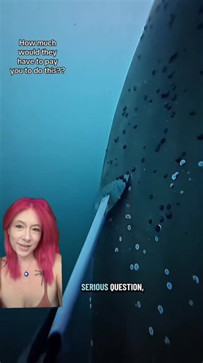 Jordyn Youngblood 🪷 | Submechanophobia - Would you scrape barnacles off massive submerged propellers for a living? Or would you be too scared? #submechanophobia... | Instagram