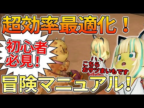 ドラクエ10 快適な冒険の進め方！初心者も中級者も役立つ最適ノウハウを伝授！