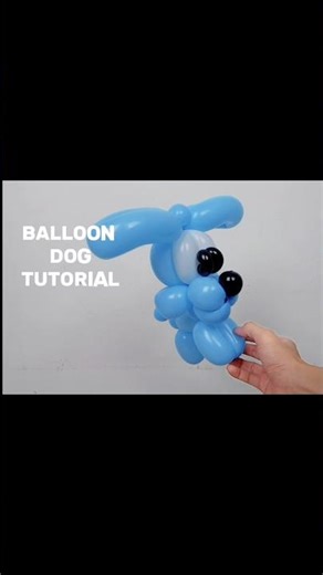 Simple and special Balloon Dog! 🐶Check it out! #balloon #balloonart #balloons #balloontutorial