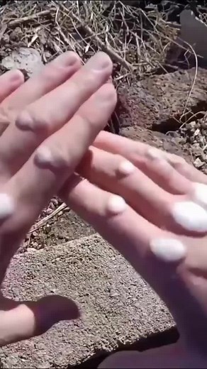 Shaolin Kung Fu Monks Showcase Incredible Martial Arts Skills