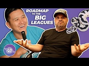 NEW BALL PYTHON BREEDER Roadmap to the BIG LEAGUES | #ballpython #snake #reptiles