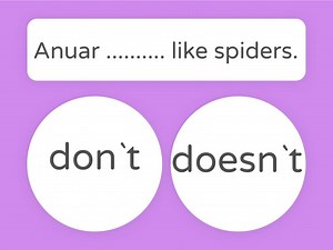 Present Simple negative form