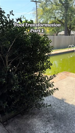 Part 1 of transforming our MASSIVE inground pool! ✨ #fyp #foryou #foryoupage #renovation #home #diy #pool #poolcleaning #transformation #reno #painting #paint