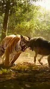 Tiger vs Wolf Fight in Jungle 🐅🔥 | Realistic 4K UHD Wild Battle | #TigerFight #WolfAttack #WildLife