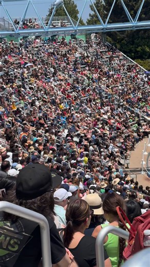 10K views · 146 reactions | Dolphin  show San Diego  | Life in America | Facebook