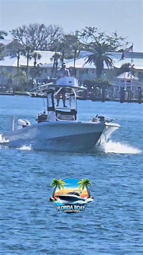 Boating Adventures in the Venice Florida Inlet | Florida Boat Adventures