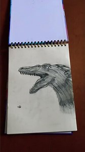 Pyroraptor drawing + new drawing book