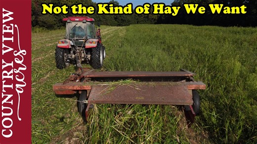36K views · 1.5K reactions | Last Cutting of Hay. But the Hay...