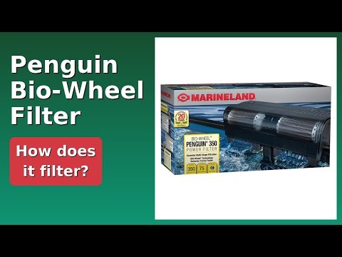 REVIEW (2025): Penguin Bio-Wheel Filter. Features.