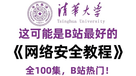 【全 100 集】（允许白嫖）198 小时讲完的网络安全入门学习教程！全程干货无废话，从 0 基础小白到网安实战大神看这套就够了！这还学不会，我直接退出网安圈！