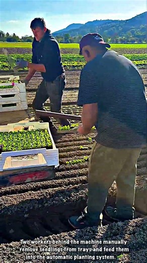 Automatic Seed Planting with Tractor