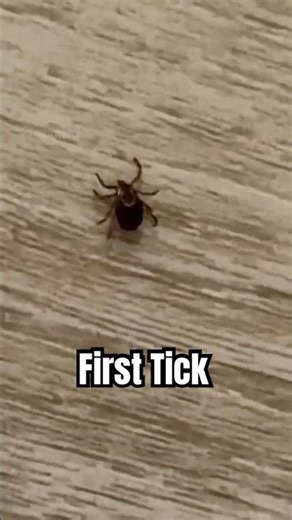 Where did you get your first Tick?
