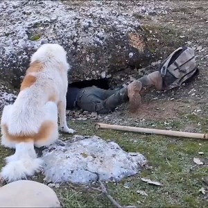 1.6M views · 10K reactions | I Turned an Old Cistern Into a Shelter With a Fireplace | Nature Documentary, Diy Project #nature #asmr #winter #wildlife #fblifestyle #camping #bushcraft #outdooradventure #craft #mountain #mrsulo #survival | Mr. Sulo | Facebook