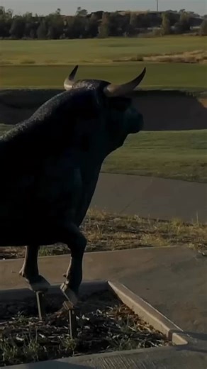 Here’s your chance to qualify for the Blitz Golf Yarrawonga Tournament. Join us on Monday 15 December for the Blitz Golf Qualifying Event, where golfers battle it out for $2,000 cash and a spot in the Blitz Golf main event this January playing alongside PGA professionals and celebrities. 1pm shotgun start | $200 entry | Open to all players Register via the link in bio and take your shot. | Black Bull Golf Course