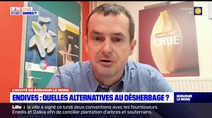 Pour les endives, quelles sont les alternatives aux pesticides?