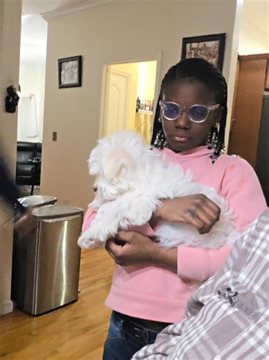 Ezra and Her Dog Snow Play in the Snow