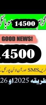 How to Check Benazir Income support program 10500||How To Check Benazir income support program Money