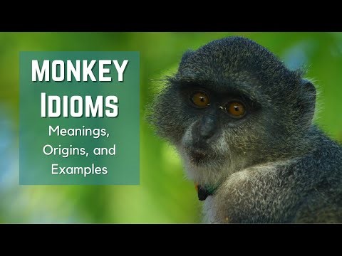 Monkey Idioms - Idiom Origins - History - Idioms and Phrases with Meanings - English Idioms - ESL